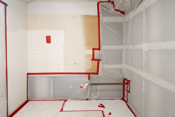 Best Basement Mold Removal  in Paulden, AZ