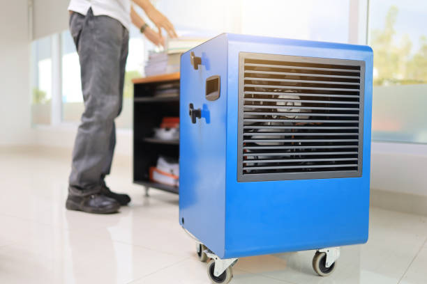 Best HVAC Mold Inspection and Cleaning  in Paulden, AZ