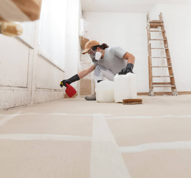 Best Airborne Mold Testing  in Paulden, AZ