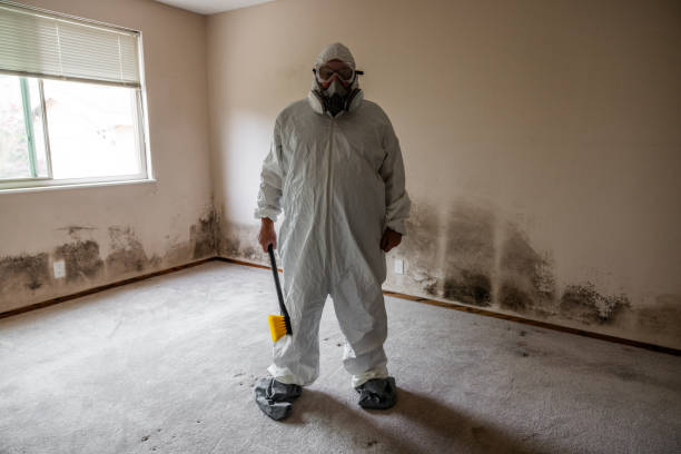Best Industrial Mold Remediation  in Paulden, AZ