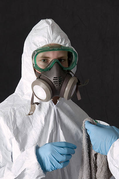 Best Indoor Air Quality Assessment  in Paulden, AZ